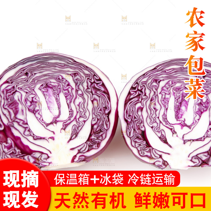 白底上放着紫包菜