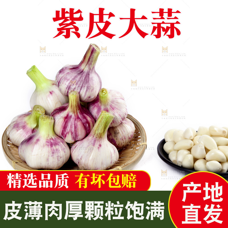 白底上的紫皮大蒜和蒜瓣