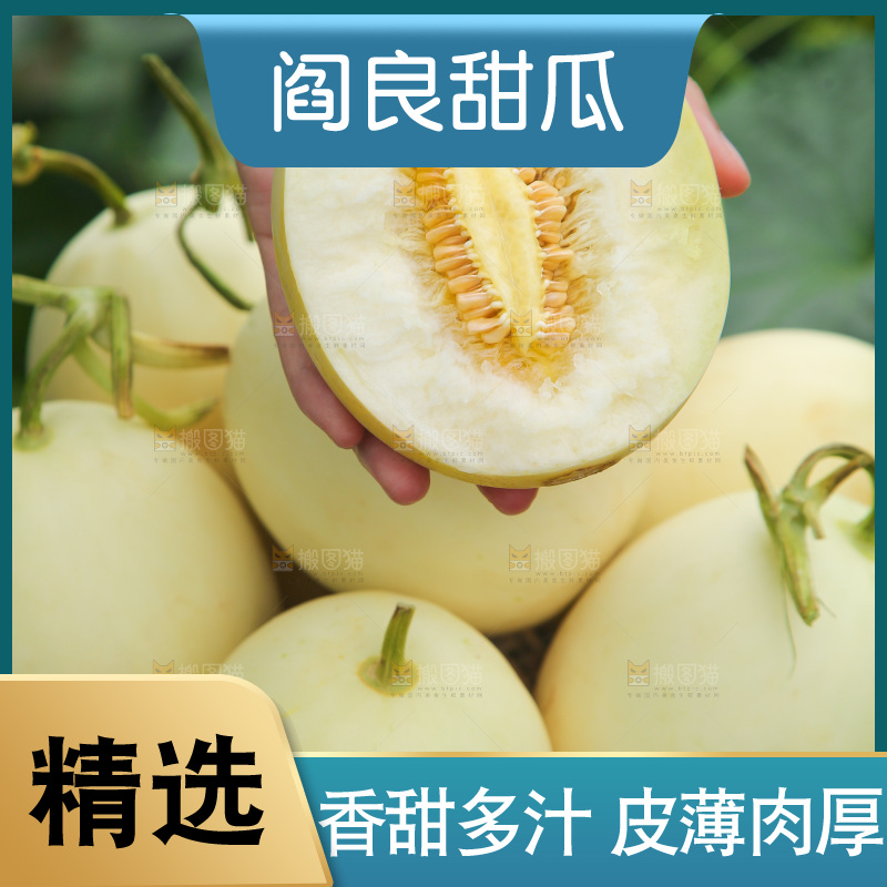 手里拿着阎良甜瓜