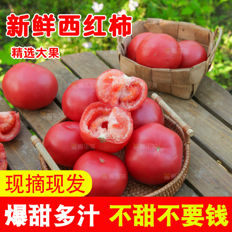 桌子上放着一篮沙瓤西红柿