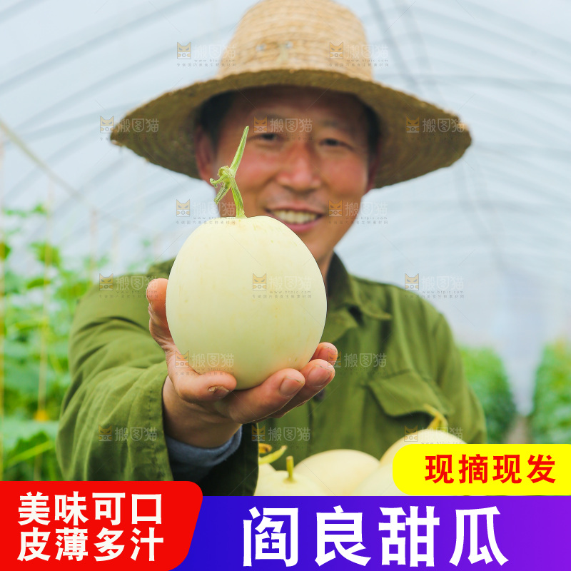 一篮新鲜阎良甜瓜