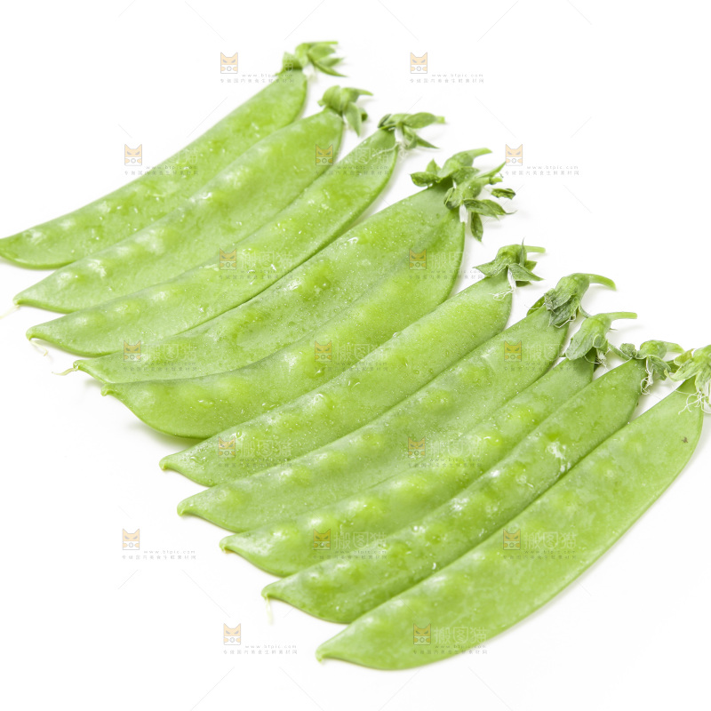 浅底上的荷兰豆