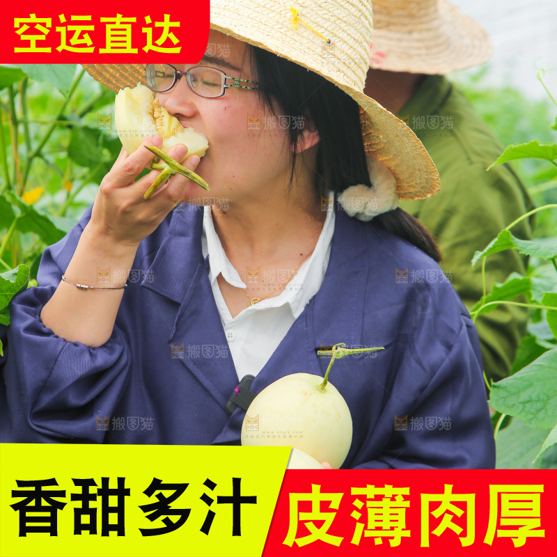 吃着阎良甜瓜