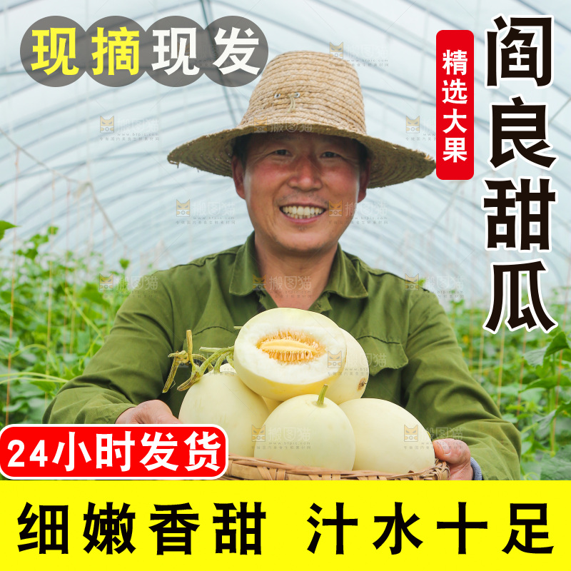 一篮头茬阎良甜瓜