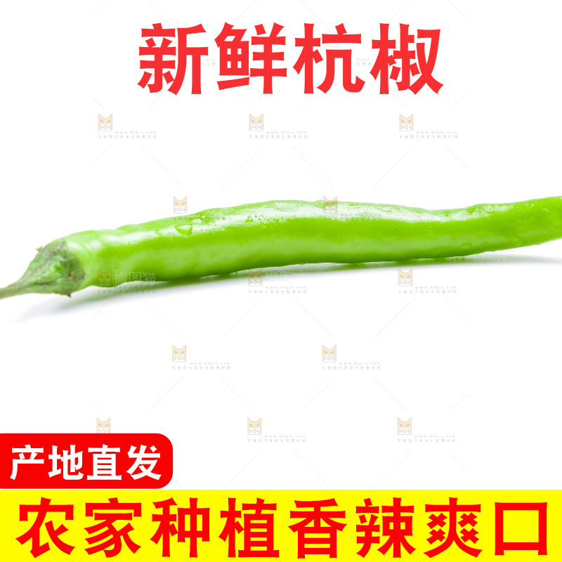 白底上放着杭椒