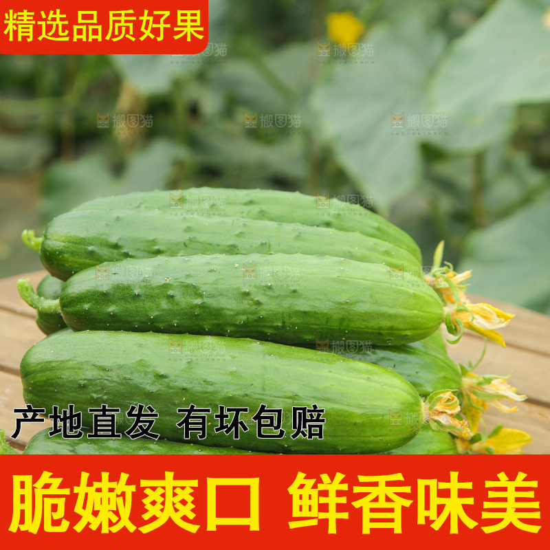 桌子上放着一堆黄瓜
