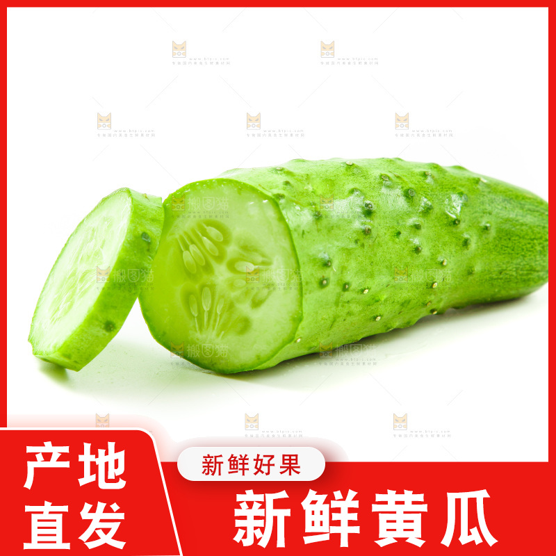 白底上放着旱黄瓜