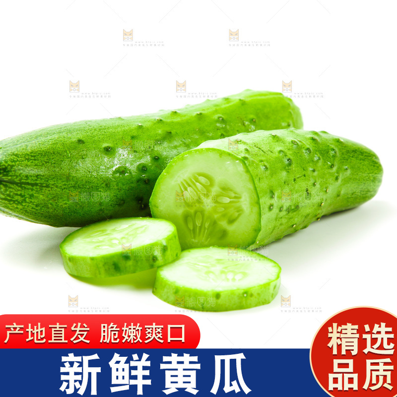 白底上放着旱黄瓜