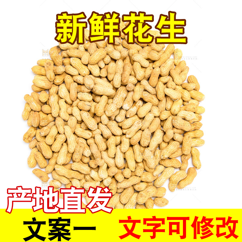 坚果纹理素材