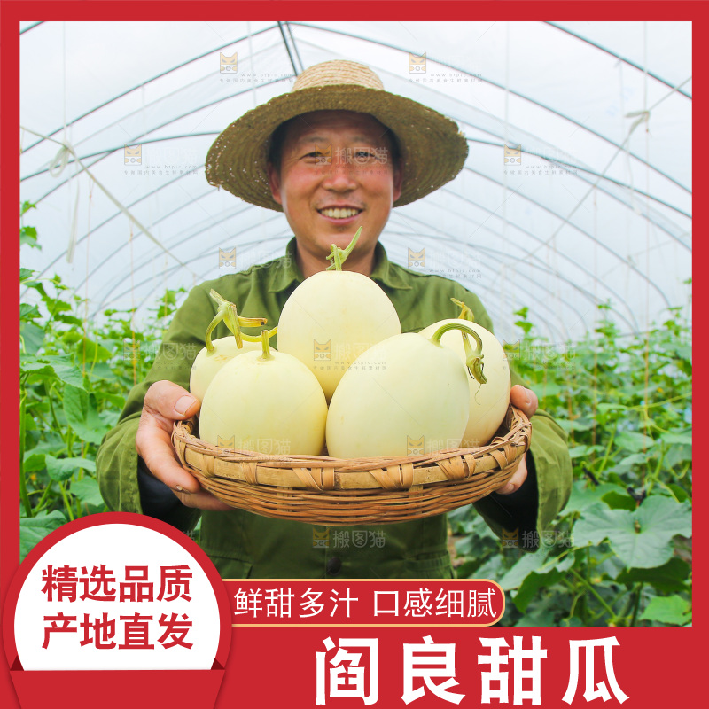 手里端着一篮阎良甜瓜