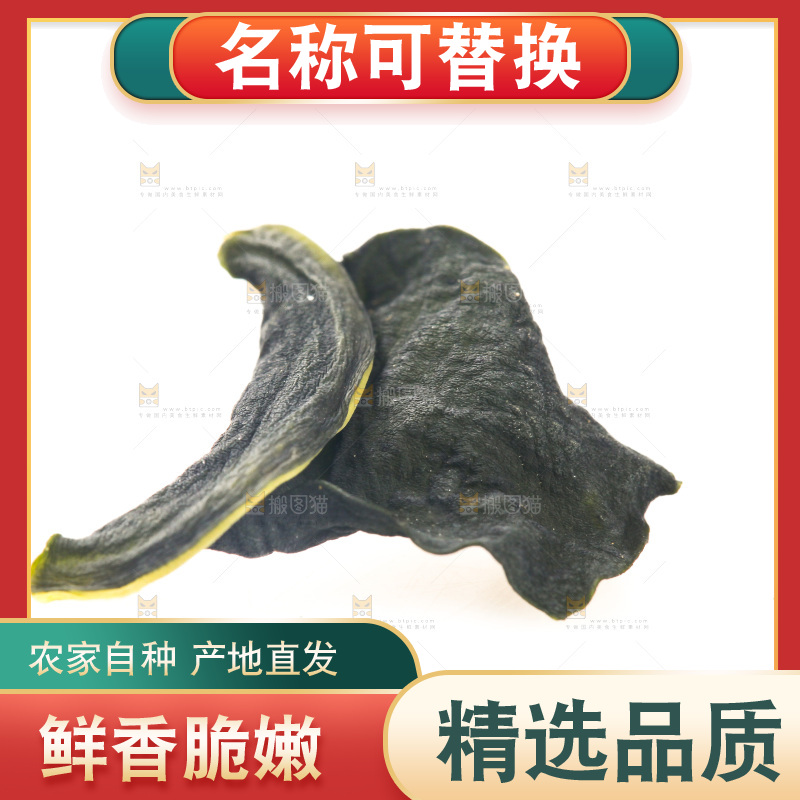 白底上摆放着裙带菜