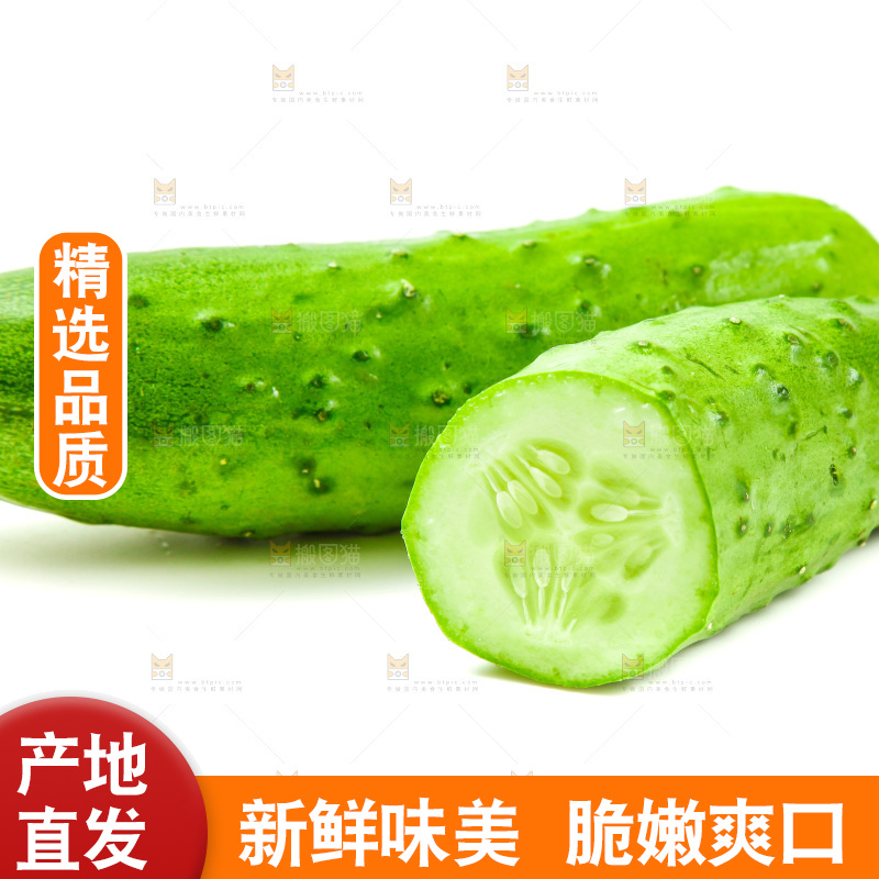 白底上放着旱黄瓜