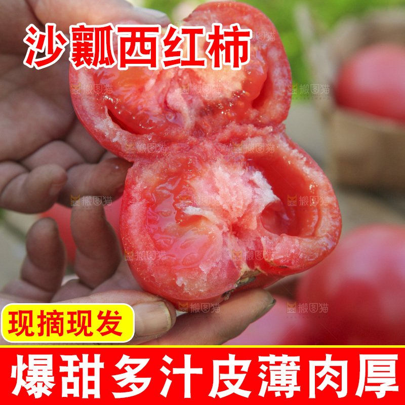 手里掰着沙瓤西红柿