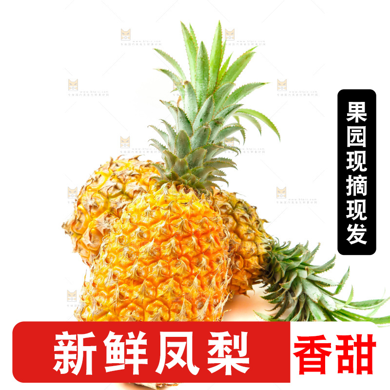 白底上放着金钻凤梨