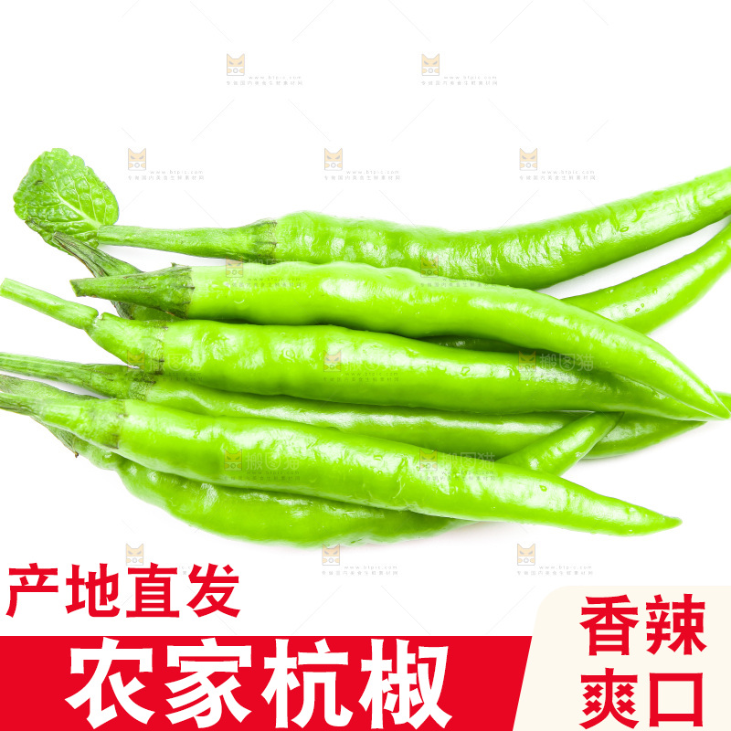 白底上放着杭椒