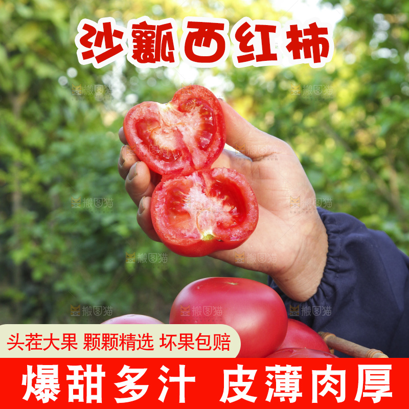 手里端着一篮西红柿