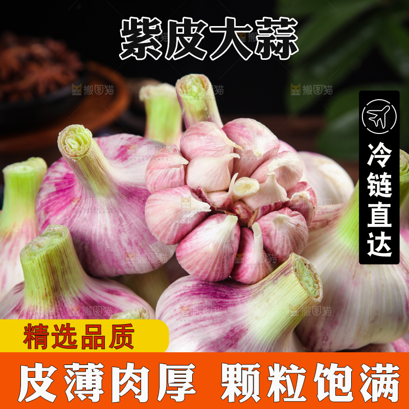 一堆新鲜紫皮大蒜