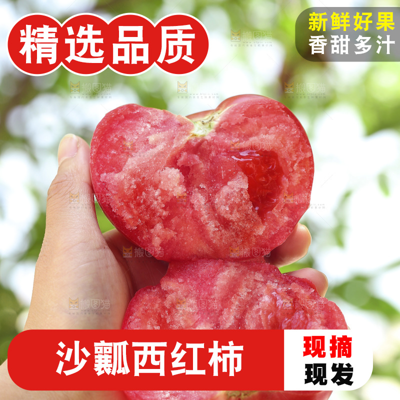 手里拿着沙瓤番茄