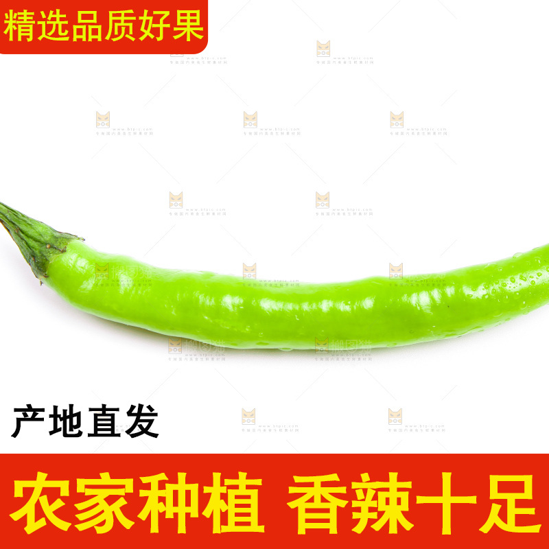 白底上放着杭椒