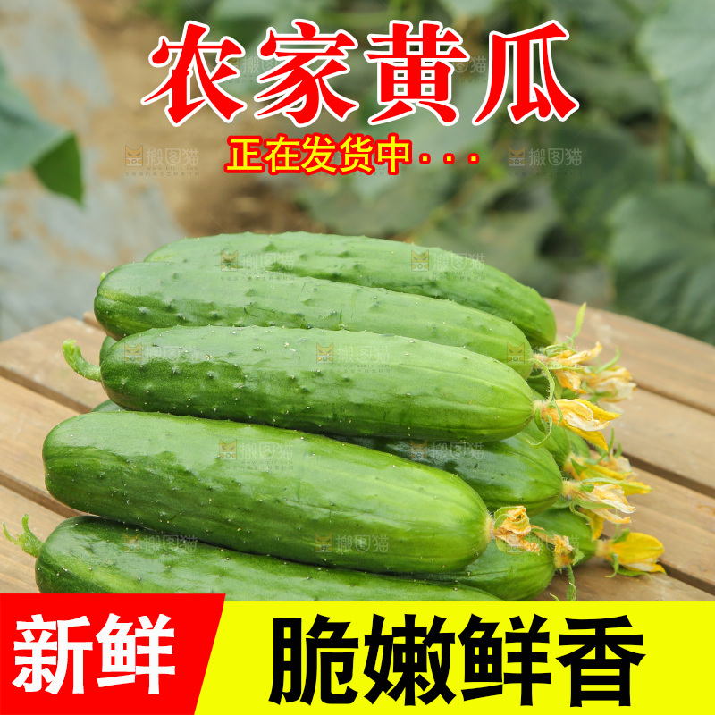 桌子上放着一堆黄瓜