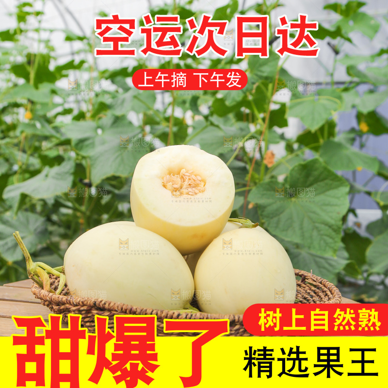 一篮阎良甜瓜