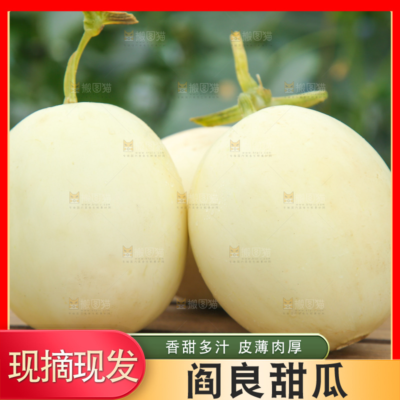 桌子上放着阎良小甜瓜