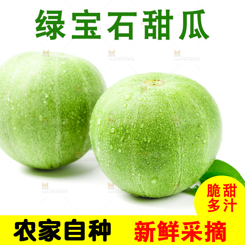 浅底上的山东绿宝石甜瓜