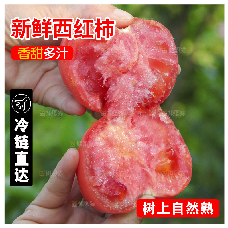 手里掰着沙瓤西红柿