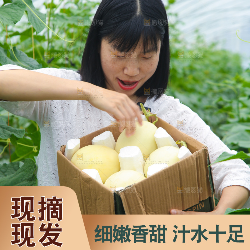 一箱阎良甜瓜