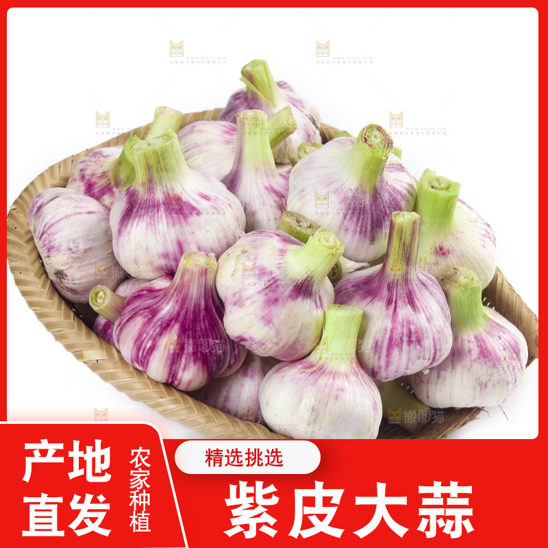 白底上放着一篮新鲜大蒜