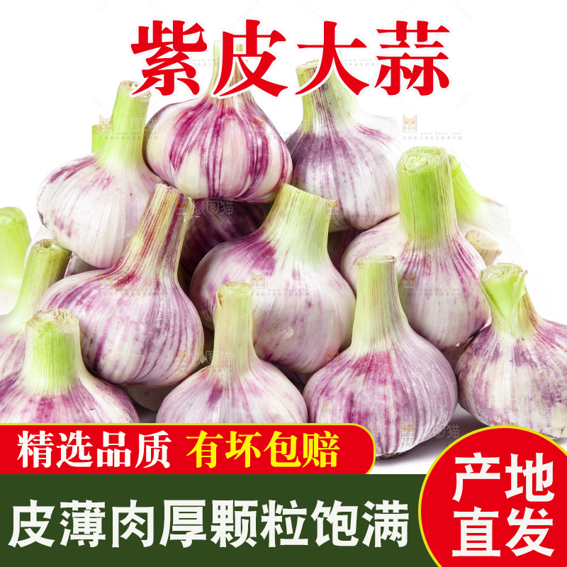 一堆新鲜紫皮大蒜