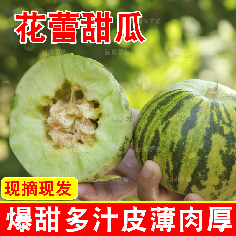 手里拿着花皮甜瓜