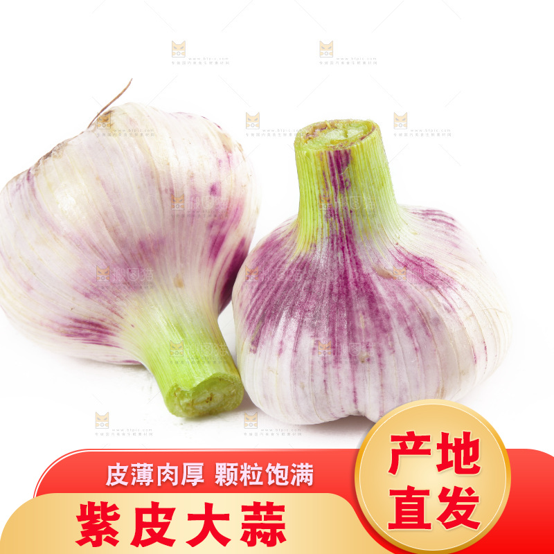 白底上的大蒜