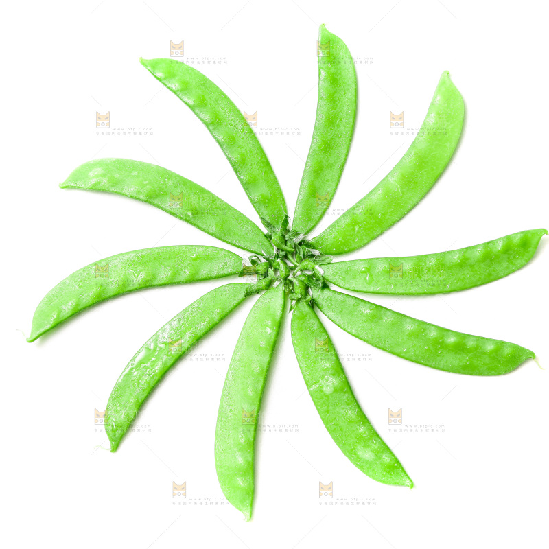 浅底上的荷兰豆