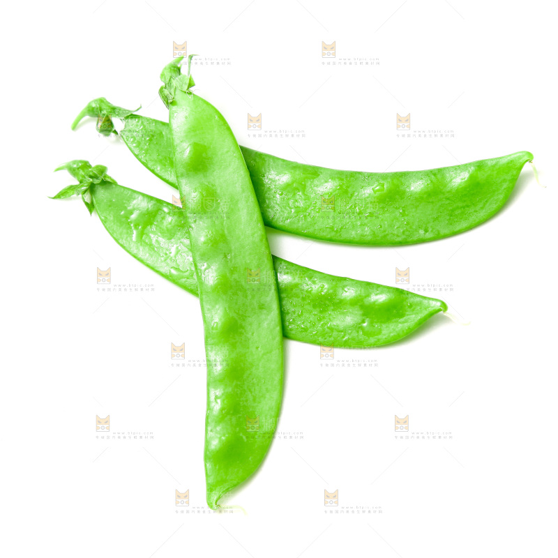 浅底上的荷兰豆