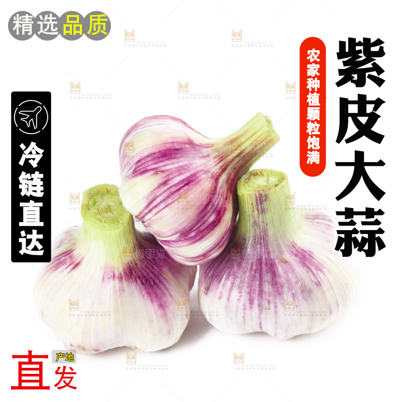 白底上的大蒜