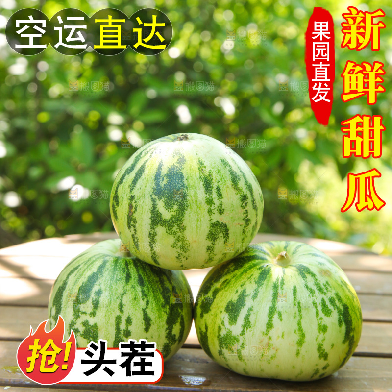 桌子上放着花蕾香瓜
