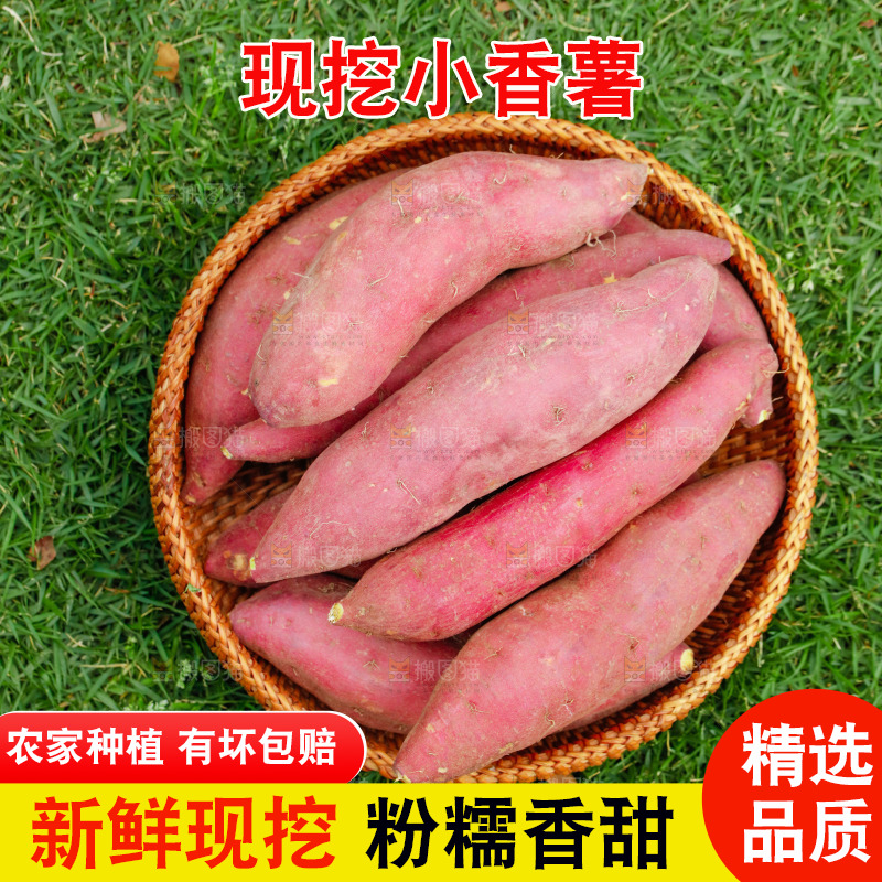 一篮天目山小香薯