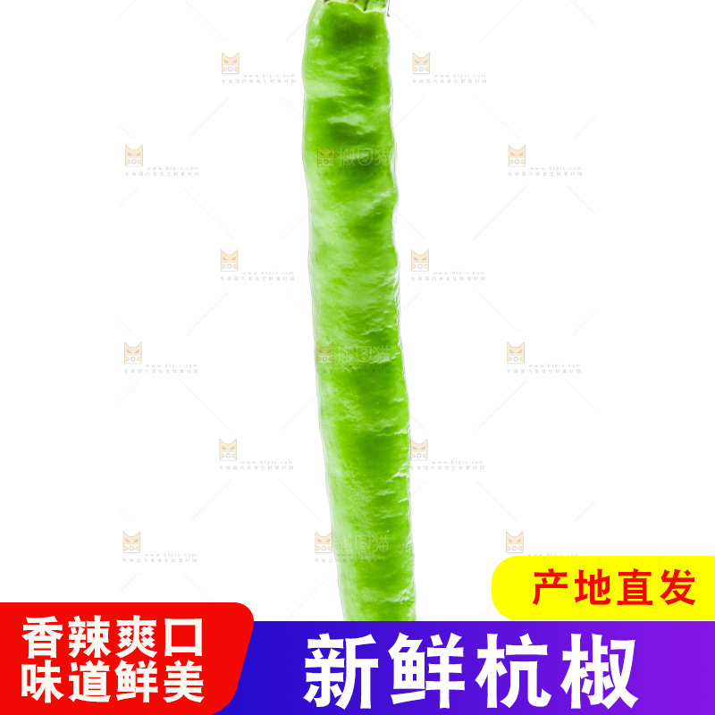 白底上放着杭椒