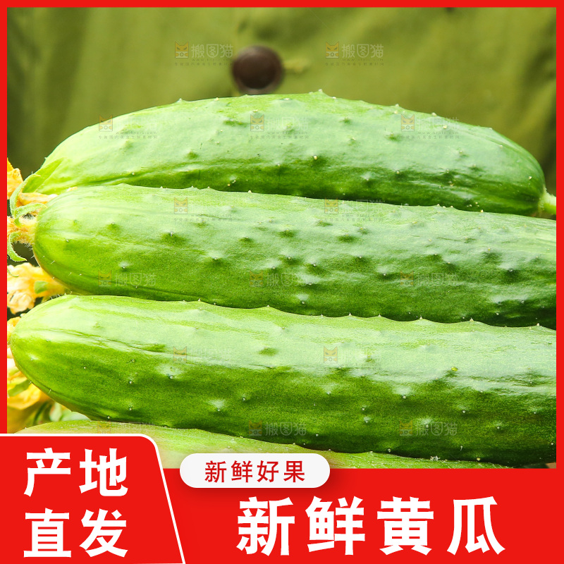 手里端着一篮水果黄瓜