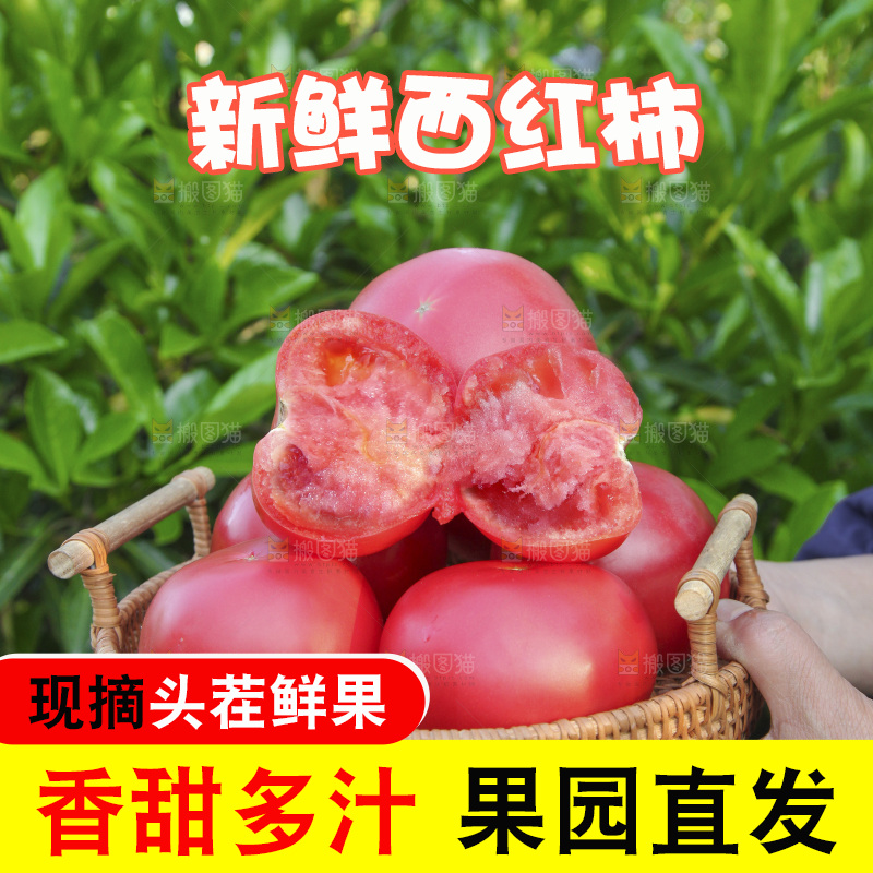 手里端着一篮西红柿