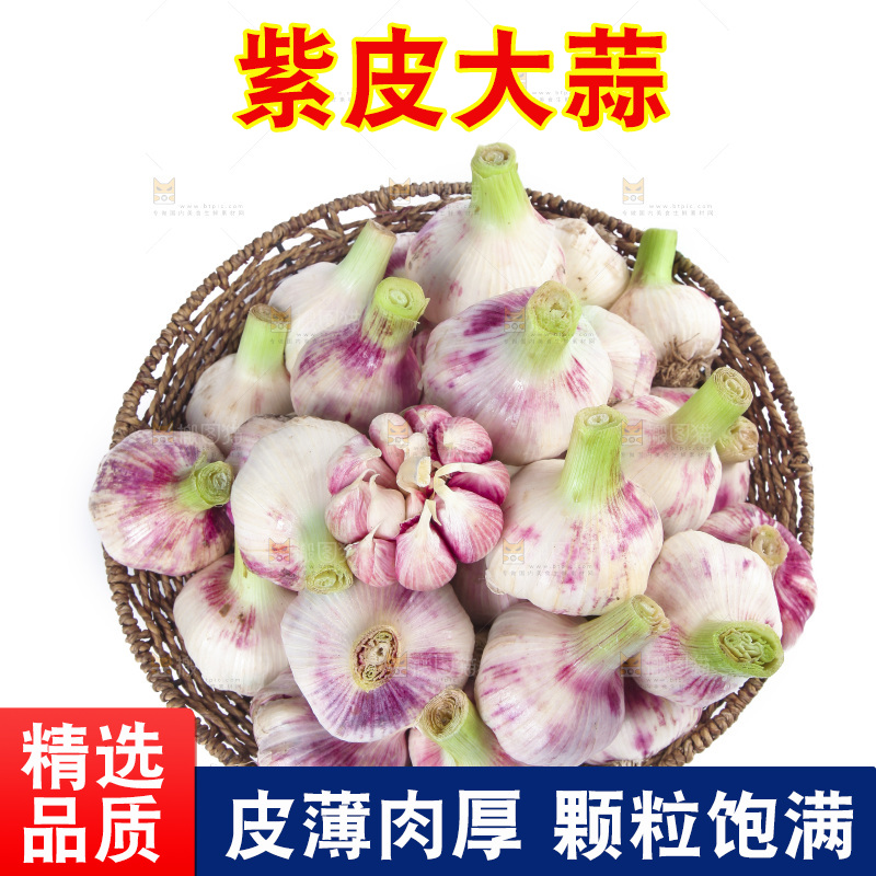 白底上放着一篮新鲜大蒜
