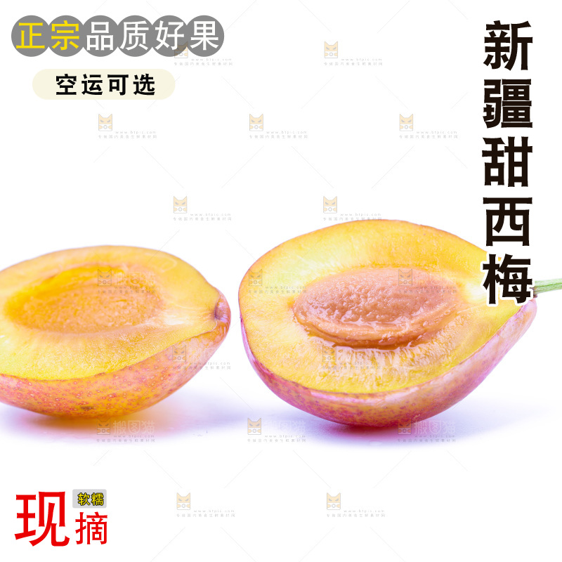 浅底上的新疆西梅
