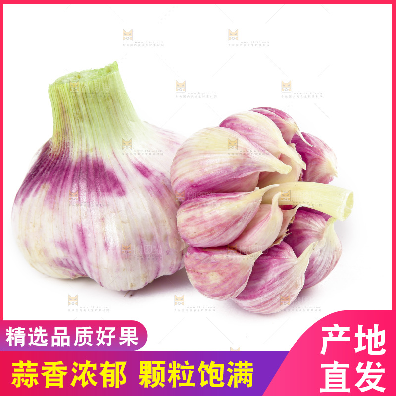 白底上的紫皮大蒜