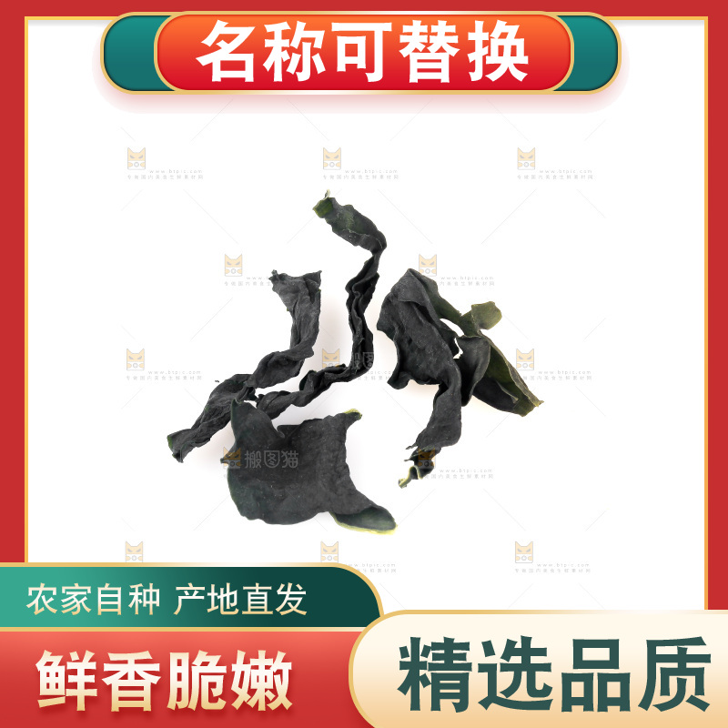 白底上摆放着裙带菜
