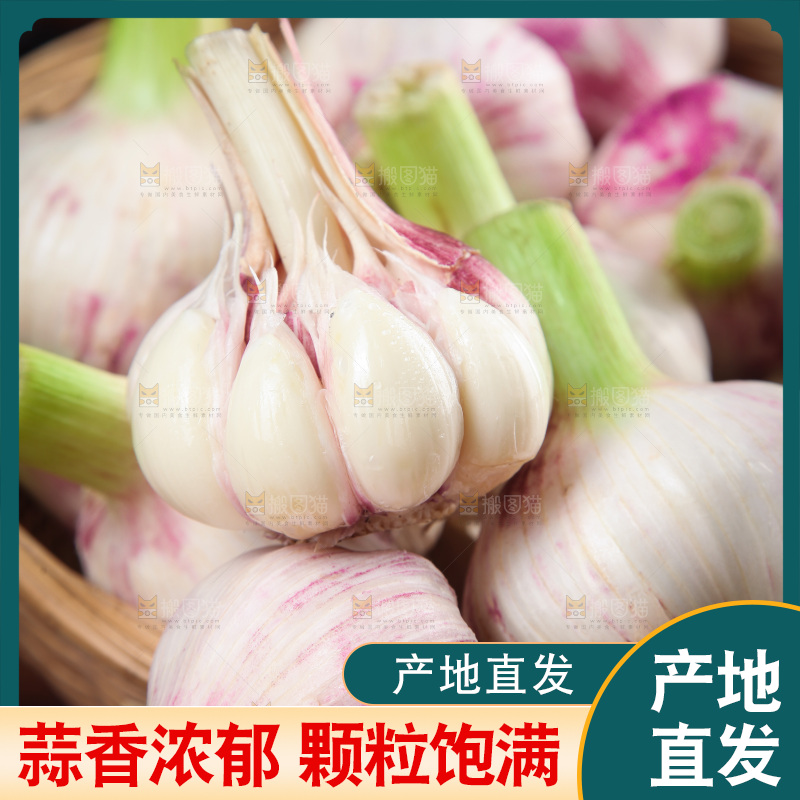 一篮新鲜大蒜