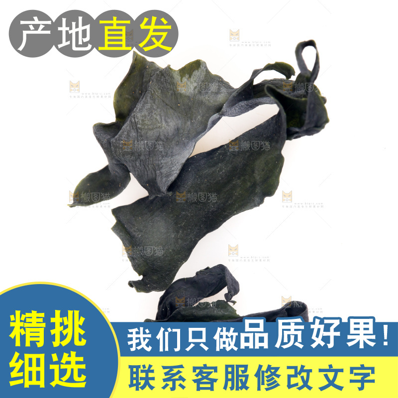 白底上的裙带菜