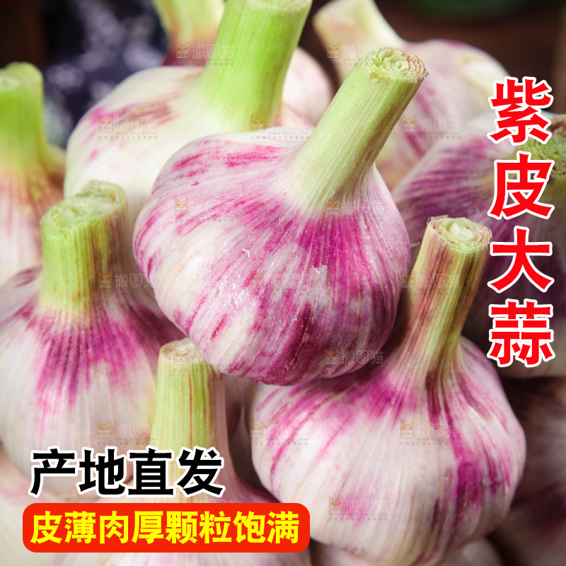 一篮紫皮鲜蒜
