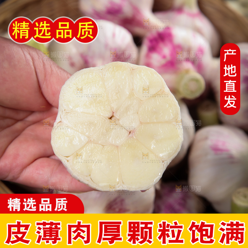手里拿着大蒜