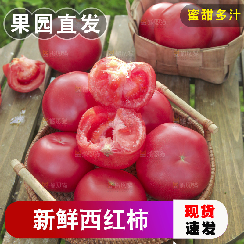 桌子上放着一篮沙瓤西红柿